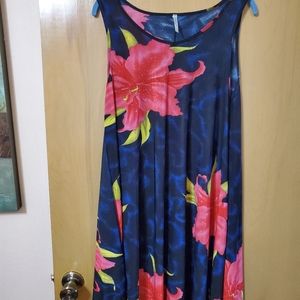 Beautiful Sundress or Cover up